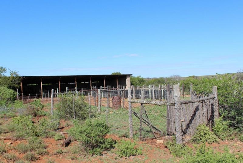 4 Bedroom Property for Sale in Grahamstown Eastern Cape